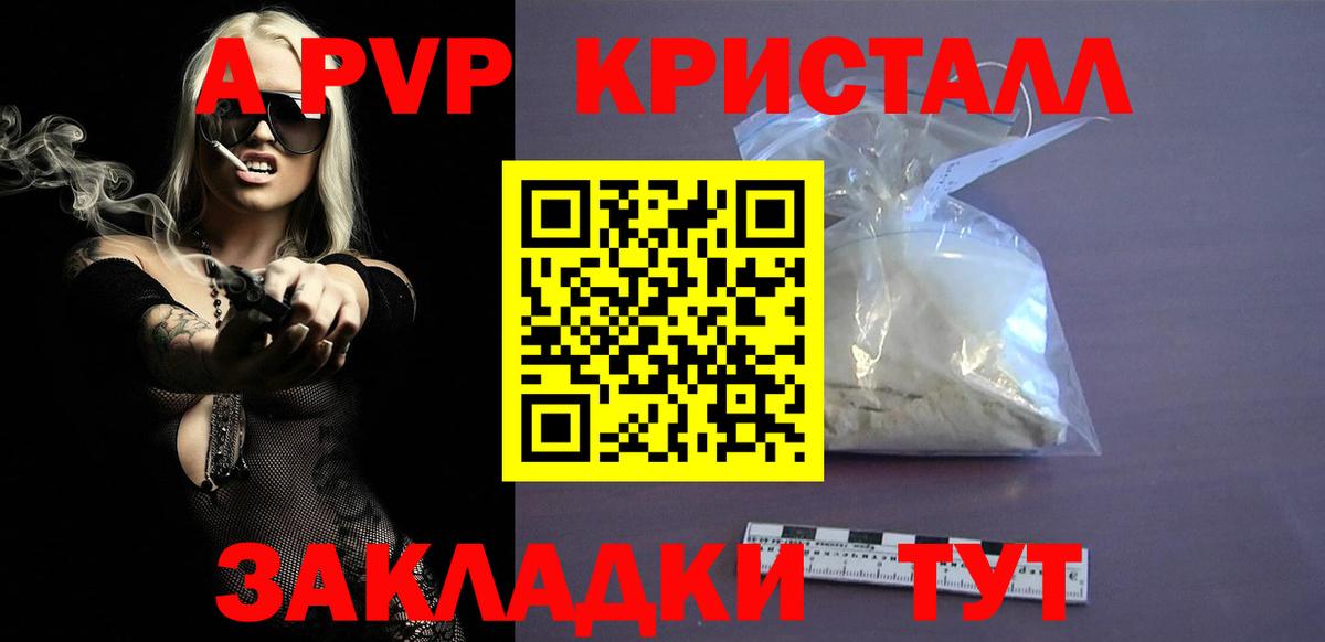 Альфа ПВП СК Губкин