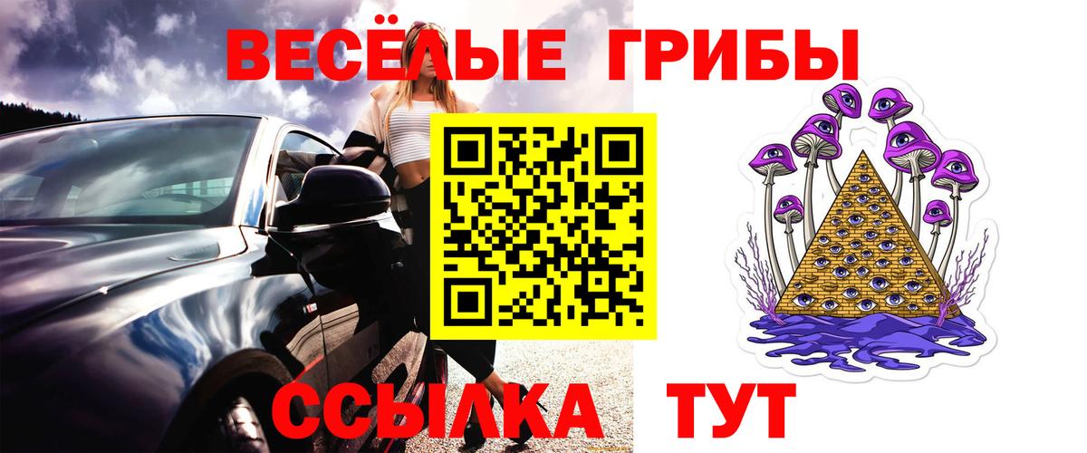 Губкин  Галлюциногенные грибы мухоморы  Вход с VPN 