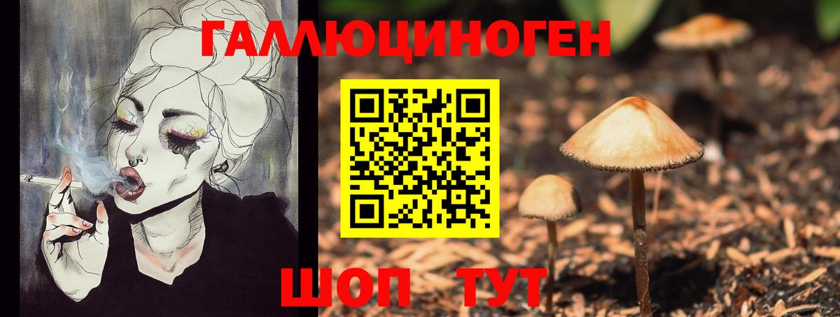 Галлюциногенные грибы мицелий Губкин